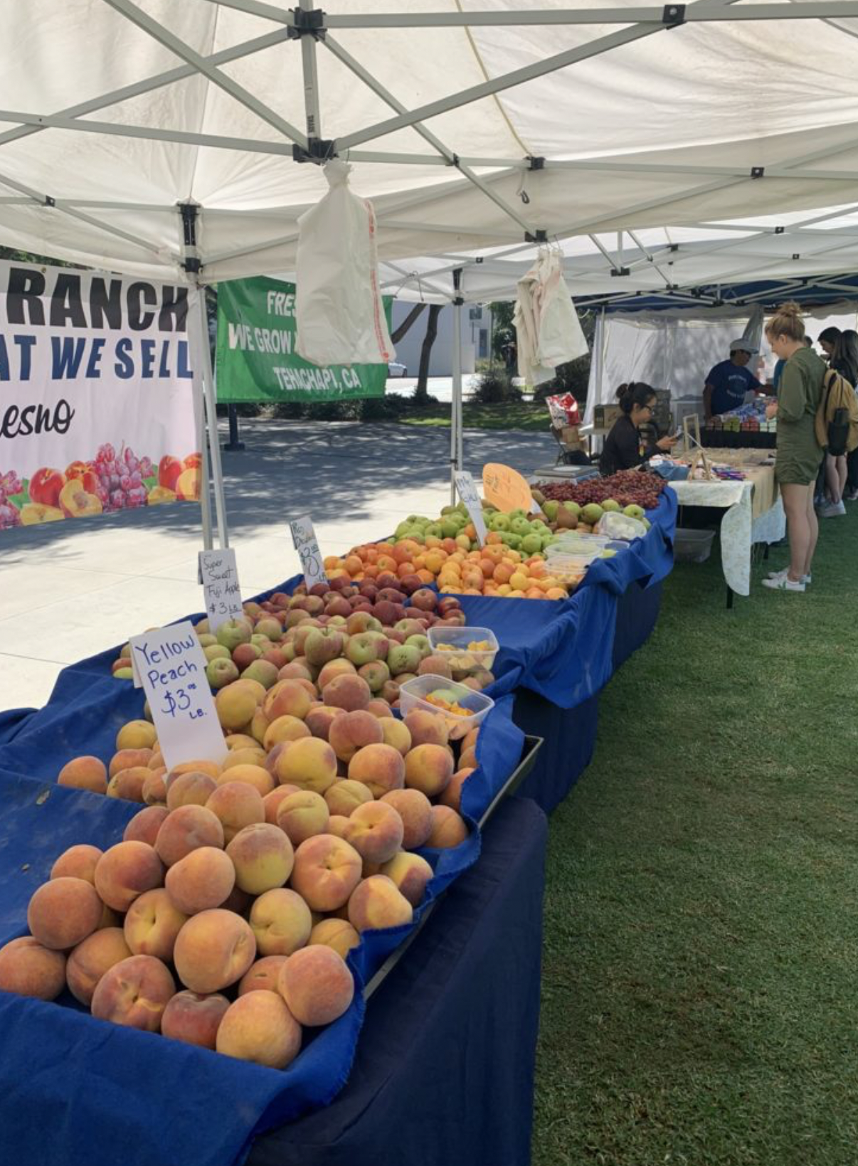 LMU Food Trucks