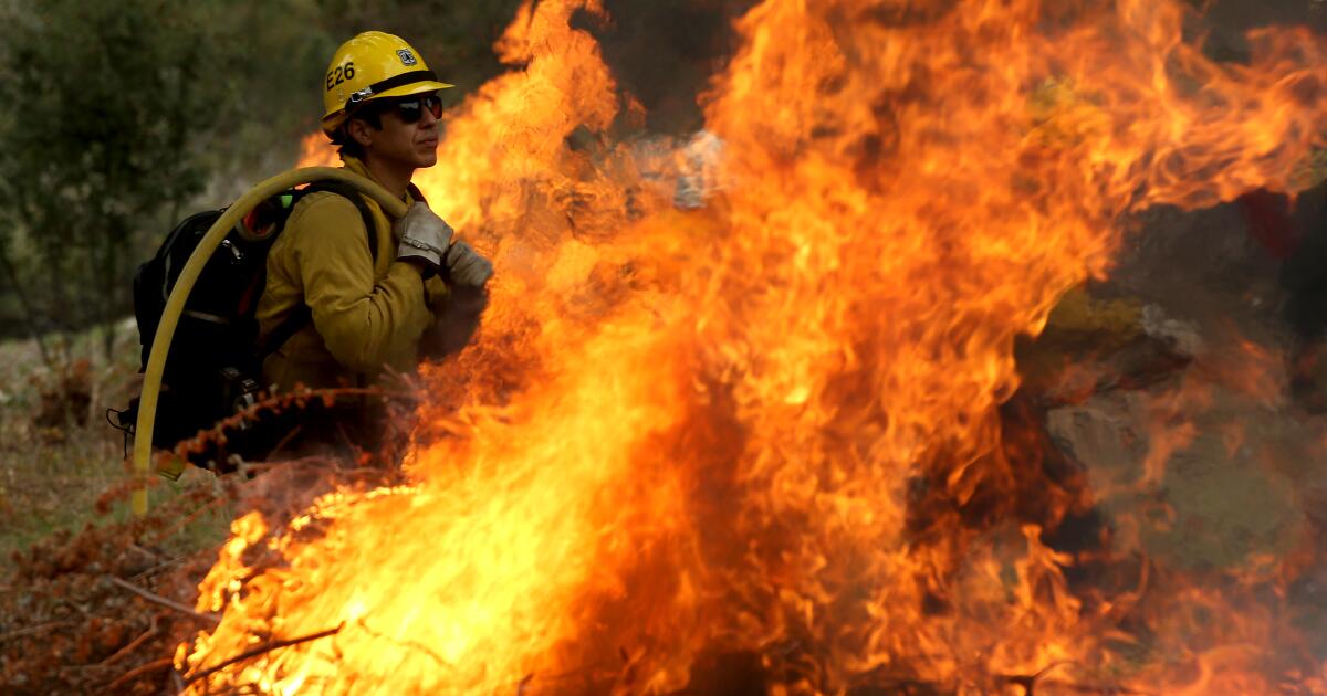 1380756 Me Forest Service Burn Mt Baldy014 Ls.jpg