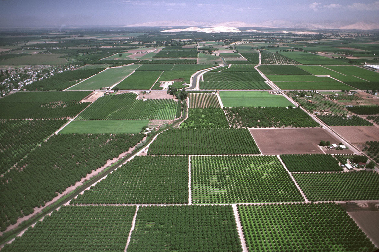 Aerial View Of The San Joaquin Valley.jpg