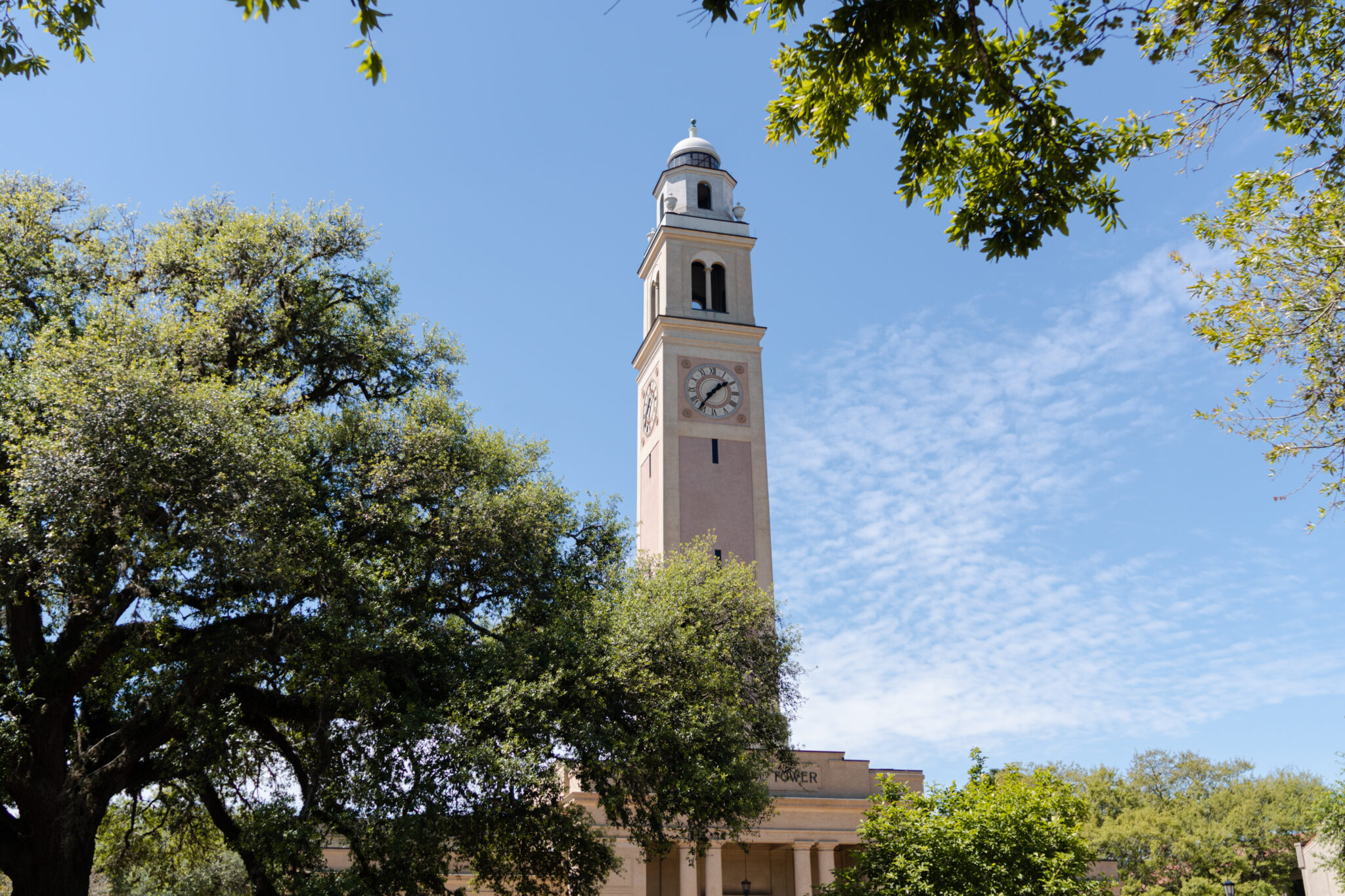 3 20 23 Lsu Mp 11 2048x1365.jpg