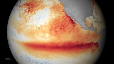 Photo satellite image showing el nino sea surface temperature departure from norm 2015.11.12 noaa 1920x1080 landscape.png.jpg