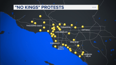 16745975 protests.png