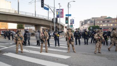 Trump Solution to Crime