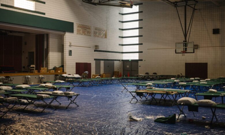 Src 20250109 0001608 scaled e1736984978156.jpg