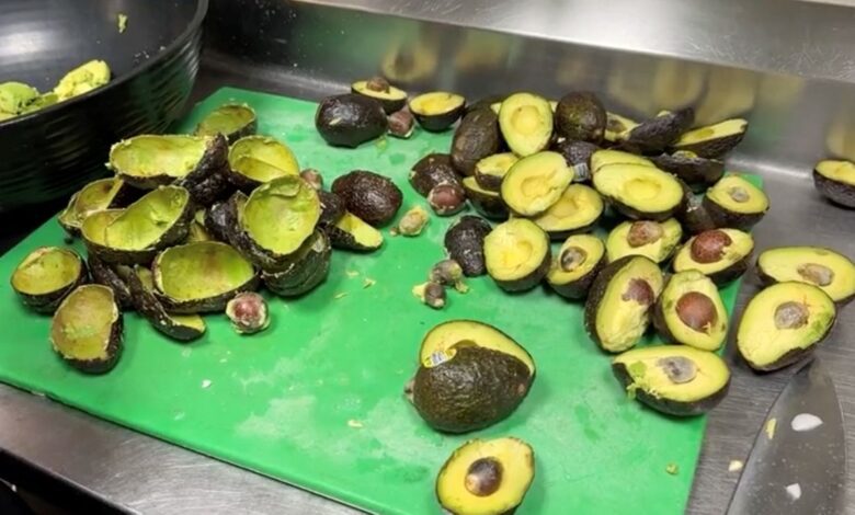 Avocados mexico tariffs ca jk.jpeg