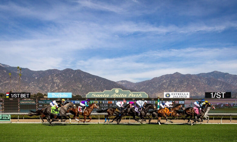 Santa Anita Big Race Card