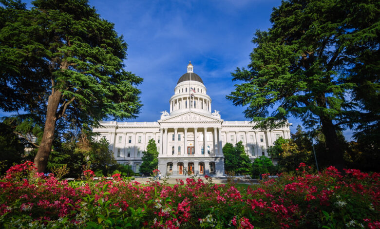 Political Playback California Capitol News You Might Have Missed (9)