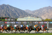 ‘SHIP & WIN’ PROGRAM RETURNS FOR 2026 AUTUMN MEETING