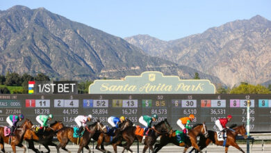‘SHIP & WIN’ PROGRAM RETURNS FOR 2026 AUTUMN MEETING