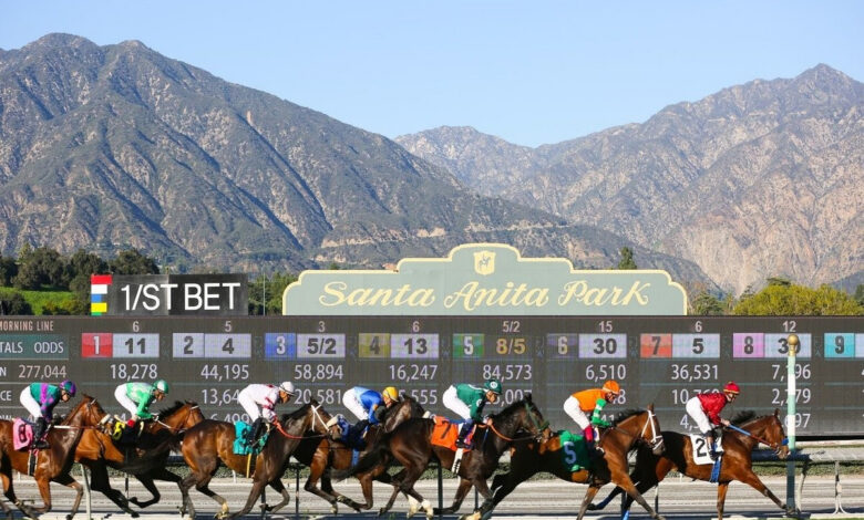 ‘SHIP & WIN’ PROGRAM RETURNS FOR 2026 AUTUMN MEETING