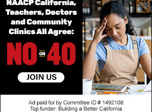 504037 100 BABC VoteNoProp40 300x250 v1r3