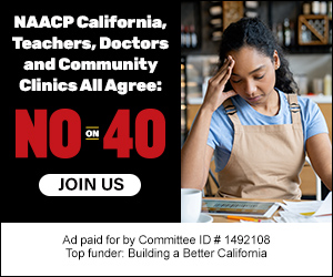 504037 100 BABC VoteNoProp40 300x250 v1r3